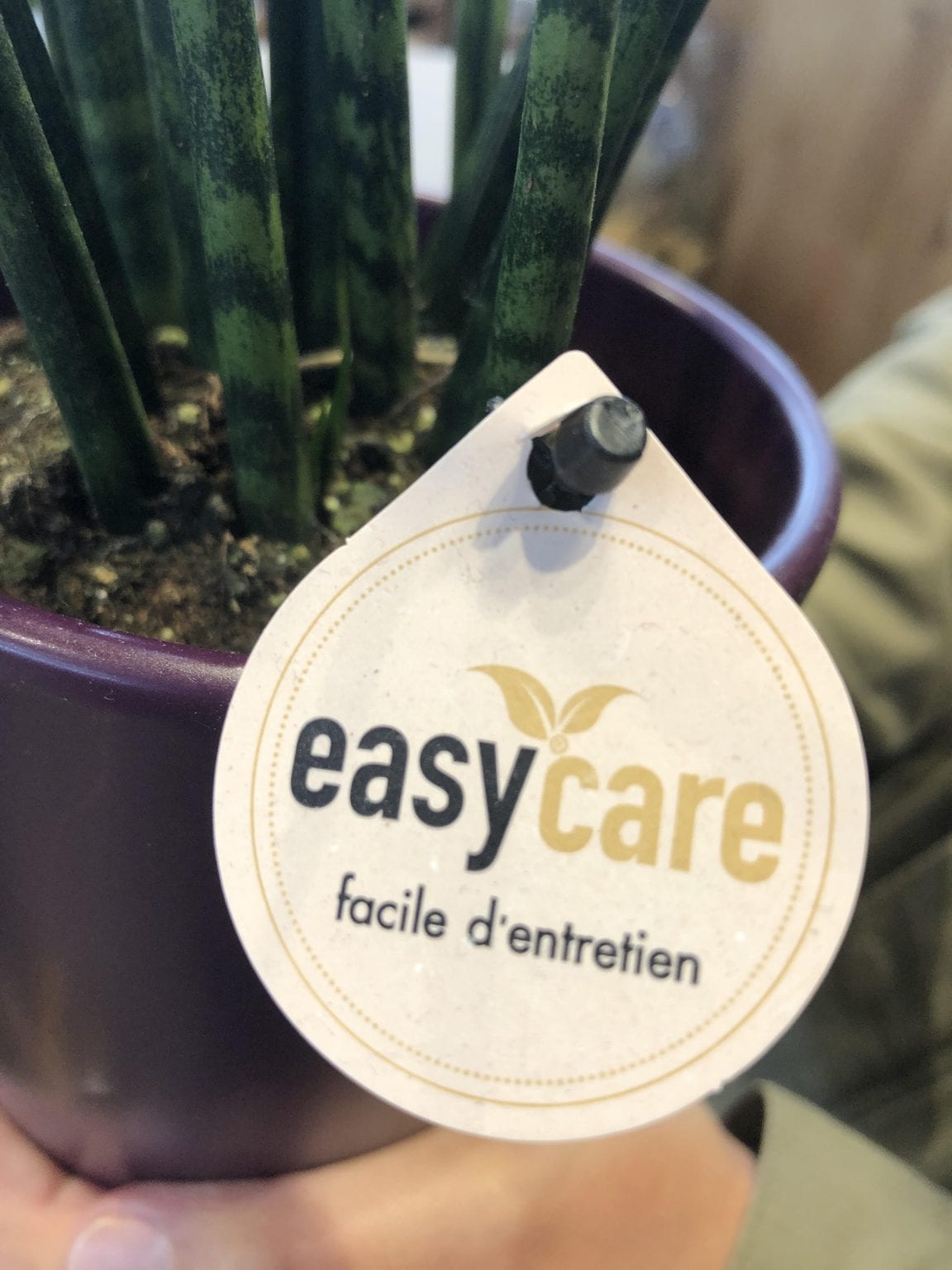 Easy Care Mandalas Art Therapy Spot